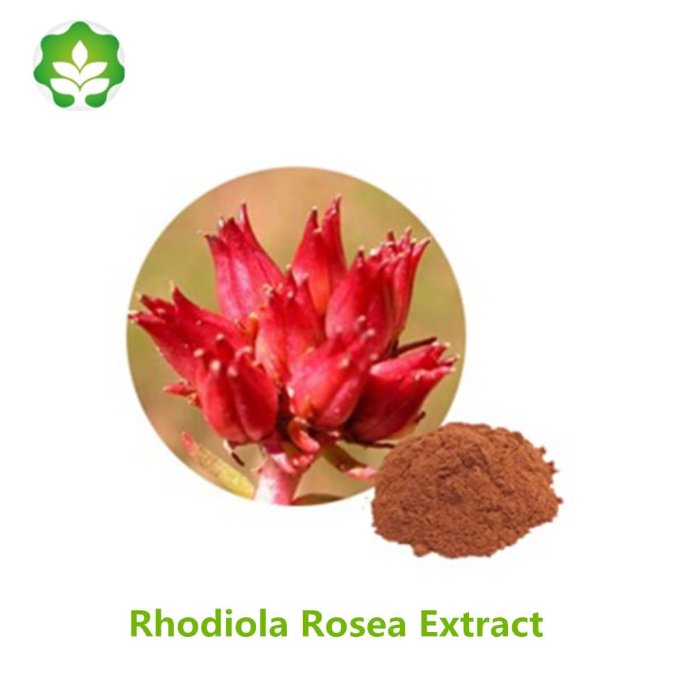 100_ natural rhodiola rosea extract with best price